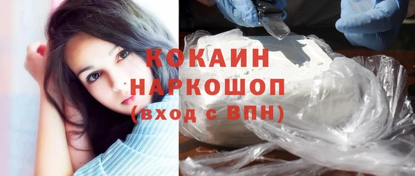 хмурый Арсеньев