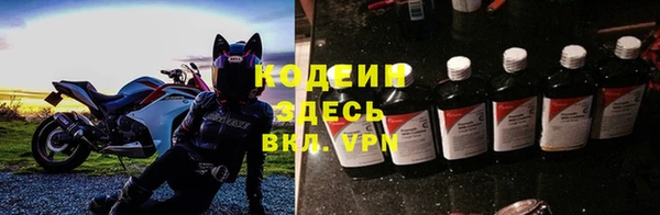хмурый Арсеньев