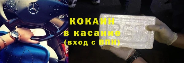 хмурый Арсеньев