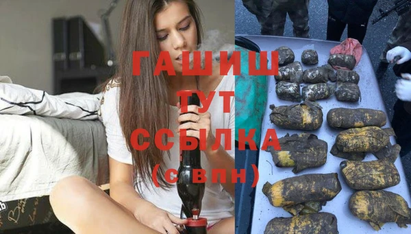 сатива Аркадак