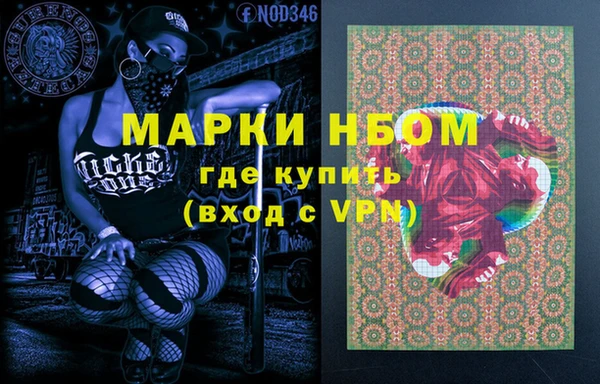 хмурый Арсеньев