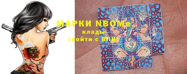 хмурый Арсеньев