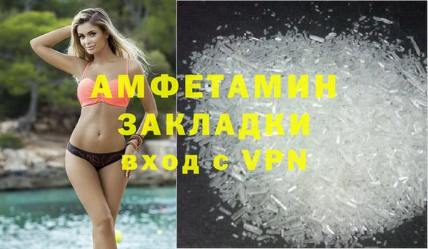 сатива Аркадак