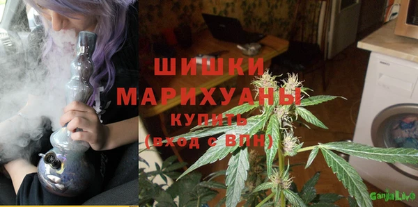 хмурый Арсеньев