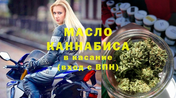 хмурый Арсеньев