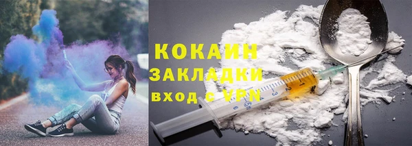 хмурый Арсеньев